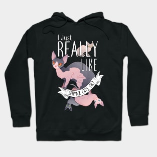 I Just Really Like Sphynx Cats, OK? Hoodie